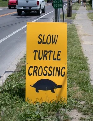 Animal Friendly sign on Route 17